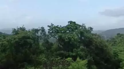 राधानगरी: राधानगरी धरण 58% भरलं. धरणातून अडीच हजार क्युसेक पाण्याचा विसर्ग. नदीकाठच्या नागरिकांना सतर्कतेचा इशारा