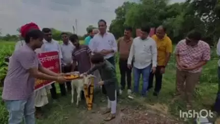 शिवगंज: महावीर इंटरनेशनल शिवगंज सुमेरपुर ने जीव दया को लेकर कार्यक्रम आयोजित किया, गायों को वितरित किया हरा चारा
