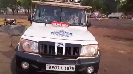 बहोरीबंद: बहोरीबंद थाने में पदस्थ दो आरक्षक और एक प्रधान आरक्षक का हुआ स्थानांतरण