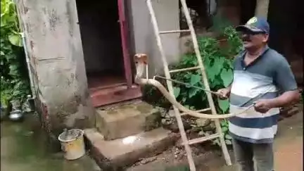ଜଟଣୀ: କୁଦିଆରୀରୁ ବିରାଟ ନାଗ ସାପ ଉଦ୍ଧାର