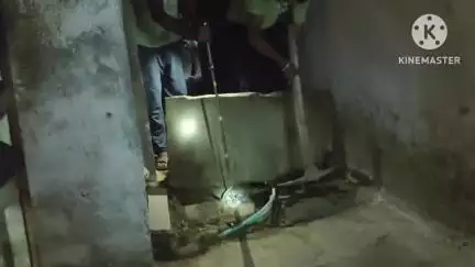 शाहनगर: खमतरा में पत्रकार गजेंद्र सिंह के घर में ब्लैक कोबरा घुसा, सर्पमित्र ओ.पी. उर्मलिया ने किया रेस्क्यू