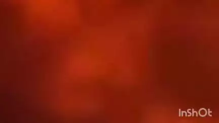 बिछिया: बिछिया के अंजनी गांव की पहाड़ी पर लगी आग, दमकल कर्मियों ने पाया काबू