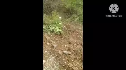 भदेसर: मंडफिया स्थित सांवलिया सेठ-भादसोड़ा के शनि मंदिर मार्ग पर बनेगी नई सड़क, 40 करोड़ की लागत से निर्माण कार्य शुरू हुआ