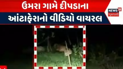 Surat Leopard Video News | ઉમરા ગામે દીપડાના આંટાફેરાનો વીડિયો વાયરલ | Leopard Viral Video | News18