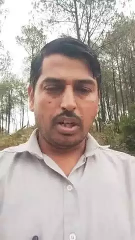 नाचन  जासन बिट में पेड़ो की कटाई वन विभाग गहरी नींद में