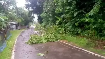সাব্রুম: জলেফা থেকে সোনাই যাওয়ার রাস্তায় বিপদজনক ভাবে রয়েছে বিদ্যুৎ পরিবাহিতার অবিলম্বে সমস্যা সমাধানের দাবি এলাকার জনগণের