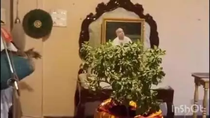होशंगाबाद नगर: मीनाक्षी चौक स्थित इस्कॉन मंदिर में माता तुलसी की हुई विशेष आराधना, संकीर्तन का हुआ आयोजन