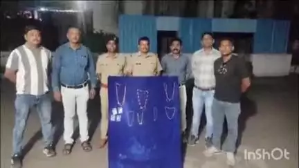 हिंगणघाट: तरोडा पारधी बेड्यावरील चोरीचा पोलिसांकडून अवघ्या २४ तासांचा छडा घरातील पैसे व दागिने चोरणारी सुनबाई निघाली चोर