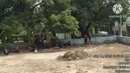 राजाखेड़ा: राजाखेड़ा में नरेगा के लाखों रुपए खर्च होने के बावजूद गरीबों को नहीं मिल रहा रोजगार, मेटों के मध्यस्त अधिकारी कर रहे मौज