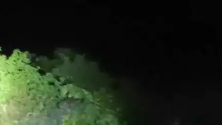 बुलढाणा: अबब!!!!एक-दोन नव्हे तब्बल 4 बिबट्यांचा महाडा कॉलनी परिसरात वावर,वन विभागाची रेस्क्यू टीम दाखल