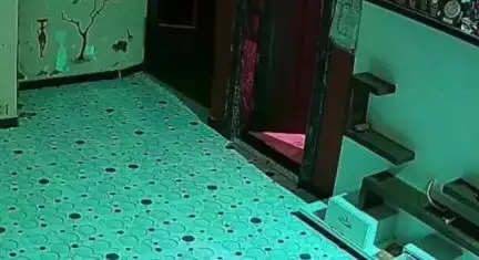इछावर: इछावर में घर में चोरी की वारदात सीसीटीवी में कैद, पुलिस सीसीटीवी के आधार पर जांच में जुटी
