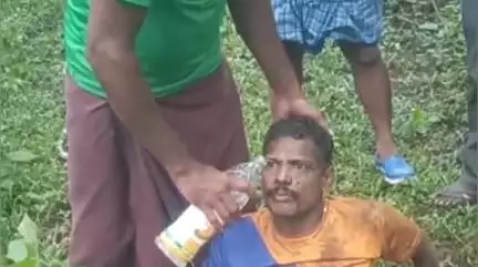 திருவட்டாறு: குற்றியாறு வனப்பகுதியில் யானை மிதித்து ரப்பர் பால் வெட்டும் தொழிலாளி படுகாயம்