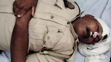 जलालाबाद: गांव सुगसुगी के निकट होमगार्ड की बाइक को कुत्ते ने मारी टक्कर, दो होमगार्ड घायल, अस्पताल में भर्ती