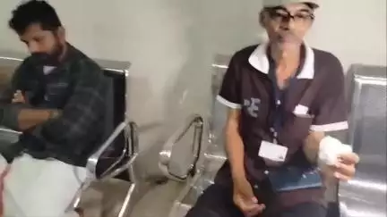 കണ്ണൂർ: കടി വിടാതെ തെരുവുനായ, റെയിൽവേ സ്റ്റേഷൻ പരിസരത്ത് ഇന്നും 16 പേർക്ക് കടിയേറ്റു