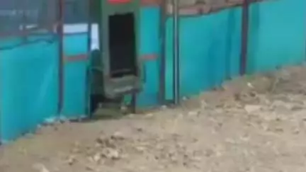 बूंदी: रणथंभौर की युवा बाघिन आरबीटी 2508 को रामगढ़ में किया गया शिफ्ट, अब आरवीटी-5 के नाम से बनाएगी अपना नया इलाका