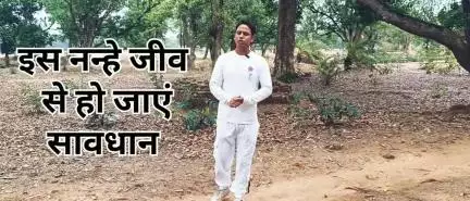इस नन्हे जीव से रहें सावधान