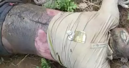 महेंद्रगढ़: गांव मेघनवास के पास नहर में मिला 30 वर्षीय युवक का शव, शिनाख्त नहीं हो पाई