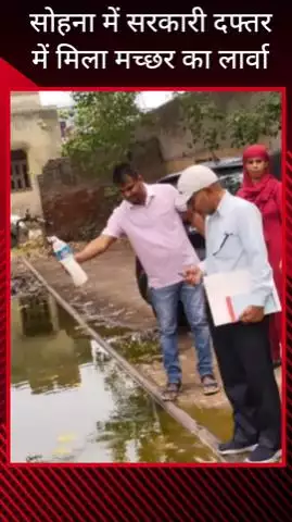 गुरुग्राम: सोहना के सरकारी दफ्तर में मिला मच्छर का लार्वा