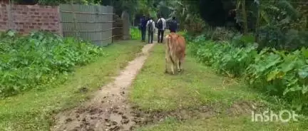 ছয়গাঁও: ছয়গাঁও চম্পক নগৰৰ পাছামতোলাত পথৰ দুৰৱস্থা, সমস্যাত সহস্ৰাধিক লোক #jansamasya