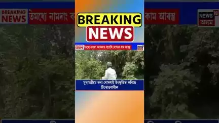 Dibrugarh ত শীঘ্ৰেই নিৰ্মাণ হ’ব ৰাজ্যৰ আন এখন অত্যাধুনিক চিৰিয়াখানা | Zoo #shorts 18/06/25