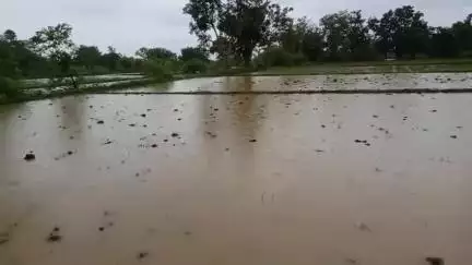 पश्चिमी सिंहभूम के अलावा अन्य जिलों में भरी बारिश हो रही है
