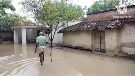 मेजा: #jansamasya बीबग्राम पंचायत अमिलिया कला में पहली बारिश ने खोली विकास की पोल, गावों में जलजमाव की स्थिति, ग्रामीण परेशान।