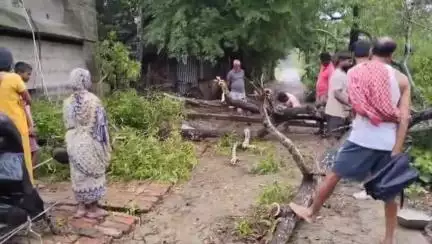 গোসাবা: গোসাবার মন্মথনগড়ে হটাৎ ঝরে ভেঙে পড়লো গাছ ও বিদ্যুতের খুঁটি,সমস্যায় এলাকার মানুষজন
#jansamasya