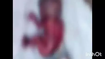 पीथमपुर: लेबड़ मानपुर फोरलेन के पिपलिया गांव में सड़क किनारे गड्ढे में मिला नवजात का शव, पुलिस जांच में जुटी