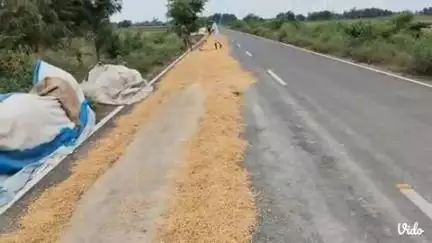 ताखा: मौसम ने किसानों की चिंता बढ़ाई, आंधी और बारिश से फसलों को नुकसान का खतरा