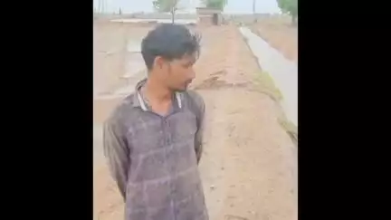હળવદ: હળવદ તાલુકાના રાસંગપર ગામેથી પસાર થતી માઇનોર કેનાલમાં ગાબડું પડતા આજુબાજુના ખેતરો ધોવાયાં, વિડિયો વાયરલ...