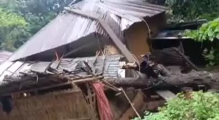 সাব্রুম: গরিফা এডিসি ভিলেজের মগ পাড়াতে বড় গাছ ভেঙ্গে পরে একবাড়ীর বসত ঘরে,অল্পেতে রক্ষা পরিবারটি