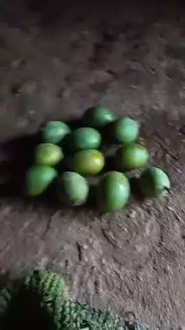 ek vyakti aam chori kar raha tha vahi jiska Ham to khoob daraya