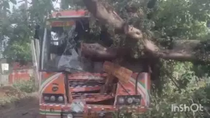 कायमगंज: गांव उलियापुर के पास पेड़ से टकराई रोडवेज बस, चालक सहित 2 लोग हुए घायल, अन्य सवारियां बाल-बाल बचीं