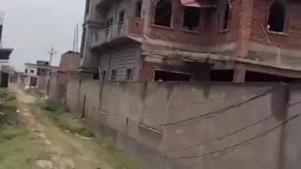 चंदौली: बसारिकपुर में बिजली विभाग की लापरवाही से एक पड़िया की हुई मौत, अन्य पशु बाल-बाल बचे