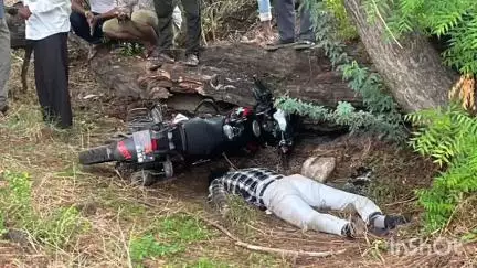 मनावर: साला-अजंदी मार्ग पर युवक का शव मिलने से सनसनी
