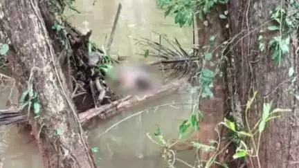 വെള്ളരിക്കുണ്ട്: കരിന്തളം കിളിയളം ചാലിൽ രണ്ടു ദിവസം പഴക്കമുള്ള അജ്ഞാത മൃതദേഹം കണ്ടെത്തി