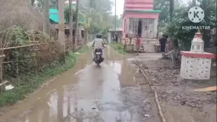 ସିମୁଳିଆ: ତେଲଦିଆ ଗ୍ରାମରେ ଦୀର୍ଘଦିନ ଧରି ରାସ୍ତାରେ ଜମୁଛି ପାଣି, ଯାତାୟାତରେ ସମସ୍ୟା #jansamasya