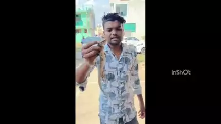 होशंगाबाद नगर: मालाखेड़ी स्थित घर में निकला मॉनिटर लिजर्ड, सर्फ मित्र ने किया रेस्क्यू