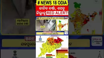 ପ୍ରବଳ ବର୍ଷା ଆଲର୍ଟ ! Red Alert For Odisha | Low Pressure Rain | Odisha Rain | Weather News