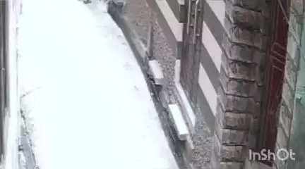 धामपुर: शेरकोट के मोहल्ला शेखान में भीख मांगने के बहाने घर में गई बुर्काधारी महिला ने मोबाइल चोरी किया, CCTV में हुई कैद