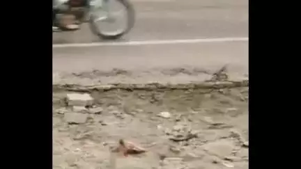 नवाबगंज: दादरा चौराहे पर लखनऊ-अयोध्या हाईवे किनारे गड्डा बना खतरा, कई लोग हुए घायल