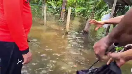 ചാവക്കാട്: പുന്നയൂർ മിനി സെന്ററിൽ നിന്ന് ഭീമൻ മലമ്പാമ്പിനെ പിടികൂടി
