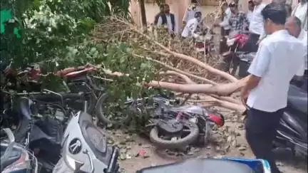 सागर नगर: सागर जिला न्यायालय परिसर में टूटकर गिरी पीपल के पेड़ की डाल, कई मोटरसाइकिलें हुई क्षतिग्रस्त