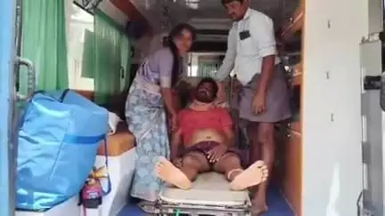 జల్లిపల్లిలో రైతుకు పాముకాటు, పరిస్థితి విషమం