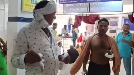 पन्ना: सिद्धपुर गांव में सांप के काटने पर युवक ने खुद ही काटी उंगली, पन्नी में भरकर पहुंचा जिला अस्पताल