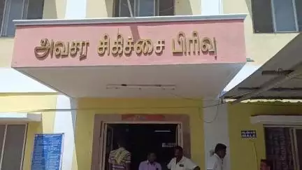 திருக்கோயிலூர்: பூமாரி கிராமத்தில் 100 நாள் வேலை திட்டத்தில் ஈடுபட்டிருந்த பணியாளர்களை தேனீக்கள் கொட்டியதால் பரபரப்பு