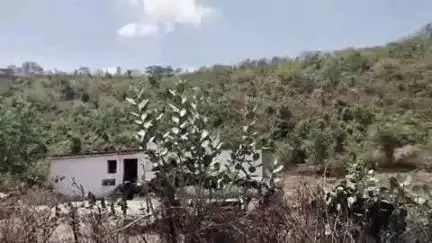 पाली: ग्राम दिगवार निवासी महिला का आरोप, वन विभाग के कर्मचारी खाली जमीन पर टपरा बनाने पर फर्जी मुकदमे की धमकी दे रहे