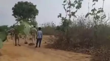 नौगढ़: अमदहा चरनपुर में अतिक्रमणकारियों ने डंडा और कुल्हाड़ी से वन कर्मियों पर किया हमला, वीडियो सोशल मीडिया पर वायरल