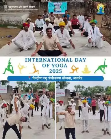 केन्द्रीय पशु पंजीकरण योजना, अजमेर
#IDY2025 के उपलक्ष्य में, केन्द्रीय पशु पंजीकरण योजना, अजमेर एवं राज्य पशुपालन विभाग, राजस्थान सरकार द्वारा ग्राम बरना में पशुपालकों के द्वार पर एक विशेष योग शिविर का आयोजन किया गया था।