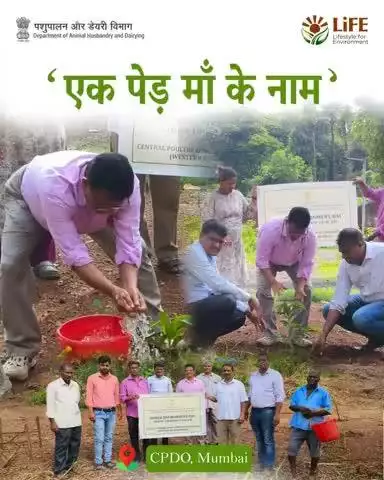 Tree Plantation Drive | CPDO, Mumbai

As part of the #EkPedMaaKeNaam campaign, CPDO, Mumbai carried out a special tree plantation drive, dedicating "Ek Ped Shaheedo Ke Naam" to honour the brave martyrs of our nation.